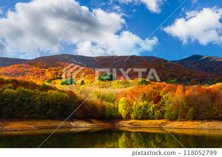Colorful trees and leaves in autumn in the Montseny Natural Park in Barcelona, Spain Colorful trees and leaves in autumn in the Montseny Natural Park in Barcelona, Spain 118052799