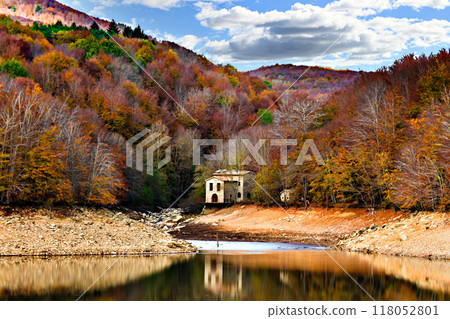 Colorful trees and leaves in autumn in the Montseny Natural Park in Barcelona, Spain Colorful trees and leaves in autumn in the Montseny Natural Park in Barcelona, Spain 118052801
