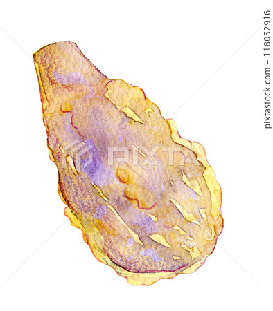 水彩插圖茄子天婦羅 118052916