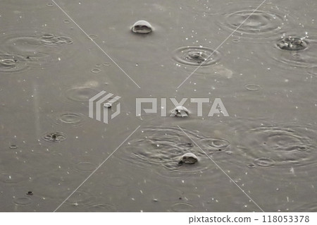 Bubbles forming in a puddle of water while raining. A close-up of the circular ripples and bubbles created by raindrops hitting the surface of the water. Bubbles forming in a puddle of water while raining. A close-up of the circular ripples and bubbles created by raindrops hitting the surface of the water. 118053378