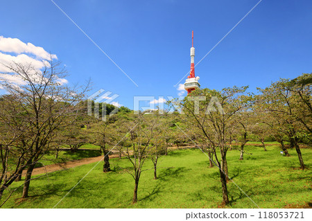 Utsunomiya Tower and Hachimanyama Park, Utsunomiya City 118053721