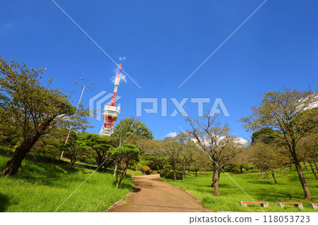 Utsunomiya Tower and Hachimanyama Park, Utsunomiya City 118053723
