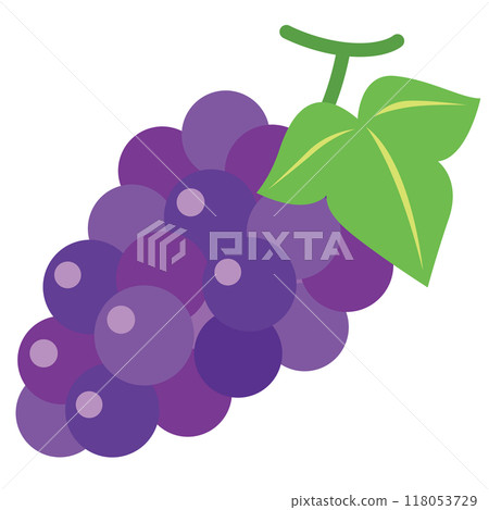 Grapes Kyoho Fruits Grapes Kyoho Fruits 118053729