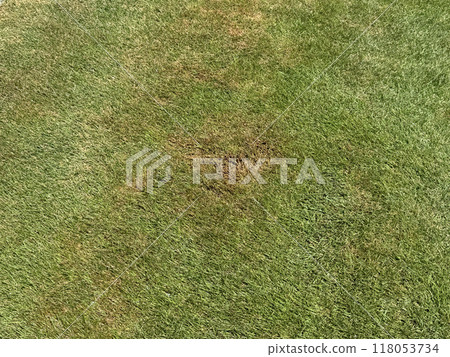 草坪因高溫而受損 118053734