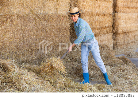 Asian female farmer arranging dried hay on hayloft Asian female farmer arranging dried hay on hayloft 118053882