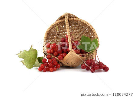 Fresh red guelder rose berries overflowing from a wicker basket isolated on white 118054277
