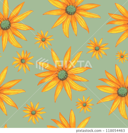 Topinambur Flower Seamless Pattern. Floral Digital Paper. 118054463