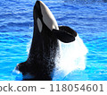 虎鯨跳躍 118054601