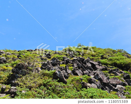 The lava plateau of Kita-Yatsugatake Tsuboniwa Natural Garden in summer 118055389