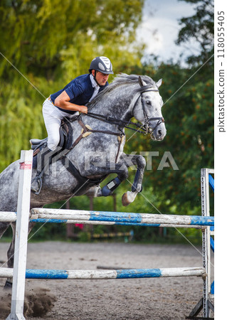 A sportsman riding white horse jumping over obstacle on his showjumping course A sportsman riding white horse jumping over obstacle on his showjumping course 118055405