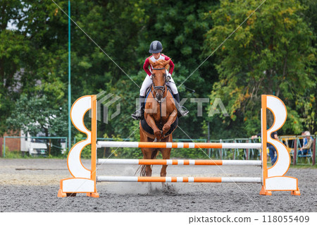 Equestrian rider jumps over an obstacle during a competition in a lush outdoor arena Equestrian rider jumps over an obstacle during a competition in a lush outdoor arena 118055409