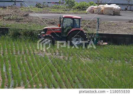Tractor work, grass cutting 118055830