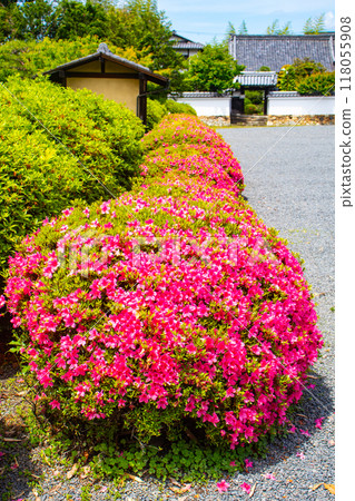 [Kyoto Scenery] Zuishin-in Temple - The beauty of the garden where you can also enjoy azalea 118055908
