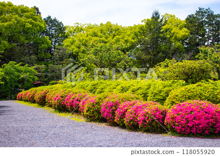 [京都風景]瑞心院 - 可以欣賞小月的庭園之美 118055920