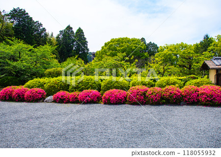 [京都風景]瑞心院 - 可以欣賞小月的庭園之美 118055932