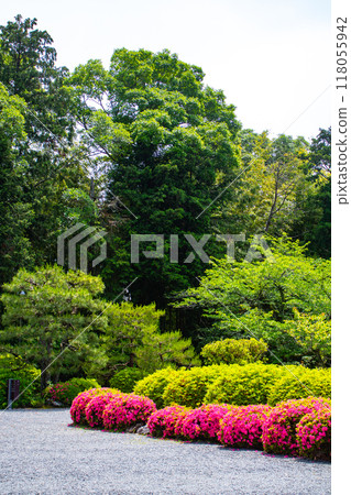 [京都風景]瑞心院 - 可以欣賞小月的庭園之美 118055942