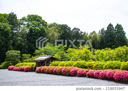 [Kyoto Scenery] Zuishin-in Temple - The beauty of the garden where you can also enjoy azalea 118055947