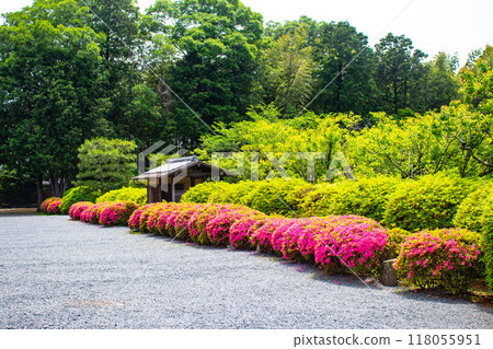 [京都風景]瑞心院 - 可以欣賞小月的庭園之美 118055951