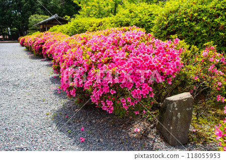 [Kyoto Scenery] Zuishin-in Temple - The beauty of the garden where you can also enjoy azalea 118055953
