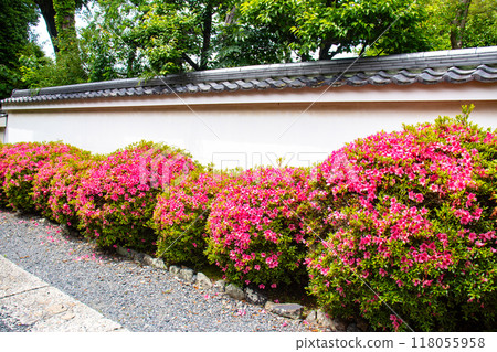 [京都風景]瑞心院 - 可以欣賞小月的庭園之美 118055958