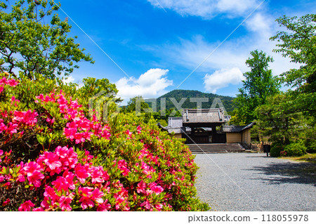 [京都風景]瑞心院 - 可以欣賞小月的庭園之美 118055978