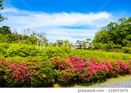[Kyoto Scenery] Zuishin-in Temple - The beauty of the garden where you can also enjoy azalea 118055979