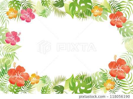芙蓉熱帶框架 118056190