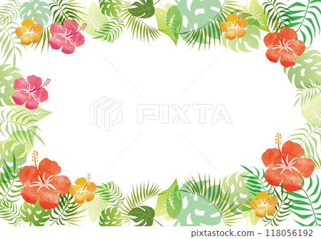 芙蓉熱帶框架 芙蓉熱帶框架 118056192