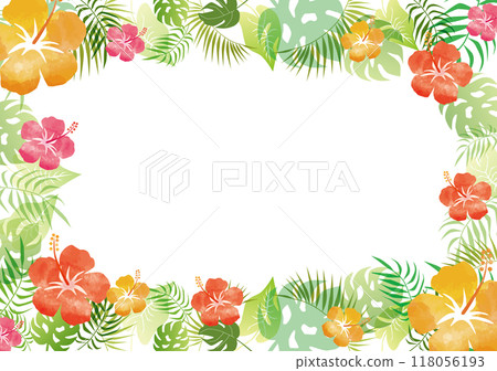 芙蓉熱帶框架 芙蓉熱帶框架 118056193