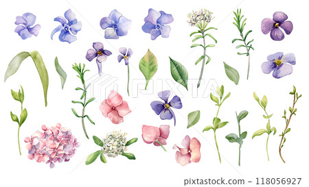Floral set of spring flowers blue, pink, white hand drawn. Periwinkle, hydrangea, forget me not and wild rosemary, leaves watercolor illustration isolated for floral design Easter, scrapbooking. Floral set of spring flowers blue, pink, white hand drawn. Periwinkle, hydrangea, forget me not and wild rosemary, leaves watercolor illustration isolated for floral design Easter, scrapbooking. 118056927