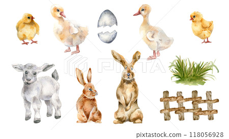 Easter animals set of fluffy chicks, ducklings, bunnies, and a lamb watercolor illustration isolated. Farm animals babies, rustic fence and bush of grass hand painted for spring-themed designs, books. 118056928