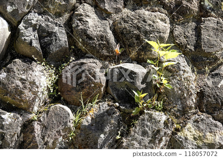 Old town stone wall detail stock photo Old town stone wall detail stock photo 118057072
