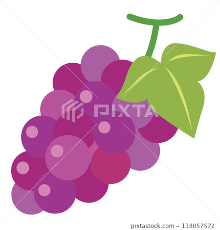 葡萄先鋒巨峰果 葡萄先鋒巨峰果 118057572