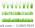 3d green grass. 118057835