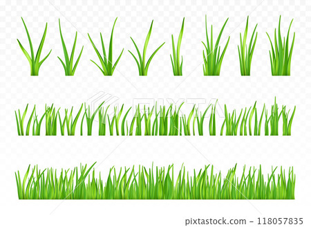 3d green grass. 118057835