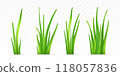 3d green grass. 118057836