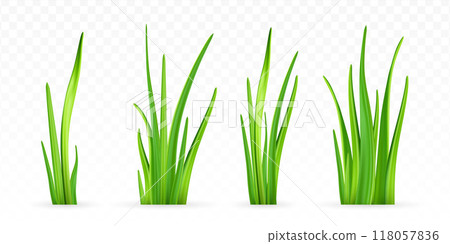 3d green grass. 118057836