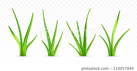3d green grass. 118057840