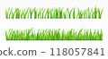3d green grass. 118057841