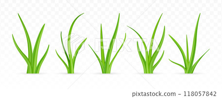 3d green grass. 3d green grass. 118057842