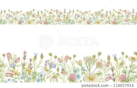 Watercolor seamless border with wildflowers of clover, daisies, flax and others. Seamless pattern for textiles, postcards, stationery, tape, glass wrappers, tableware border 118057918