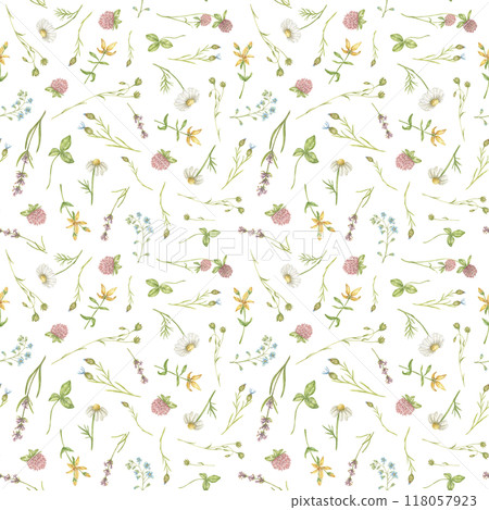Seamless watercolor pattern with wildflowers of chamomile, clover, lavender and others. The pattern is suitable for delicate wallpapers, textiles, clothes, backgrounds 118057923
