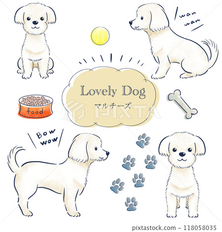 Maltese watercolor hand-drawn illustration set Maltese watercolor hand-drawn illustration set 118058035