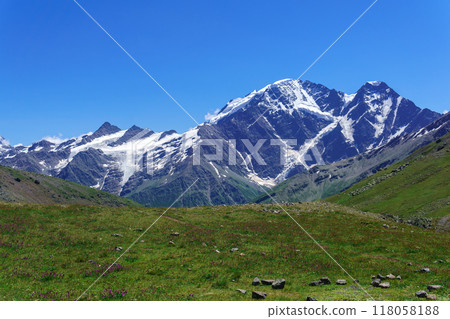 mountain landscape with slope with alpine weadows on a foreground 118058188