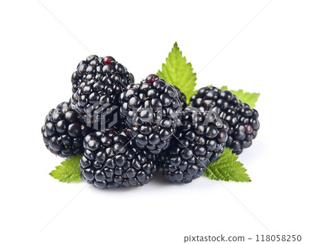 Blackberry on white backgrounds 118058250