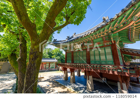 首爾世界文化遺產昌德宮 118059014