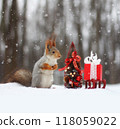 Red squirrel sits on the snow near small Christmas tree. Christmas concept 118059022