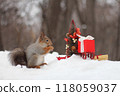 Red squirrel sits on the snow near small Christmas tree. Christmas concept 118059037