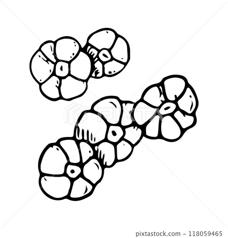 Sea Barnacle colony simple line vector illustration of ocean coral animals. Black and white ink sketch in minimalist flat style for marine and nautical designs 118059465