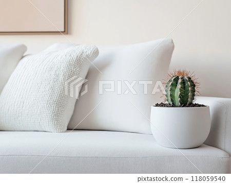 Small cactus in a white pot placed on a minimalist white couch with textured pillows 118059540